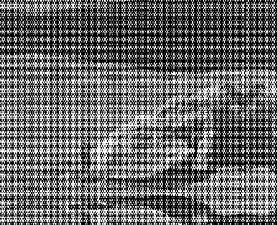 ../../../_images/pyvista-ImageDataFilters-pad_image-6f2184c13a2a4cdc_03_00.png