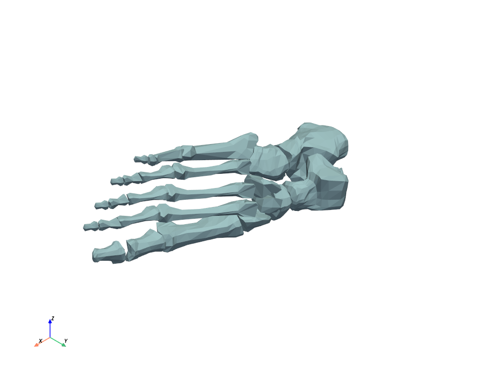 ../../../_images/pyvista-examples-downloads-download_foot_bones-2d3cee47895ccf63_00_00.png
