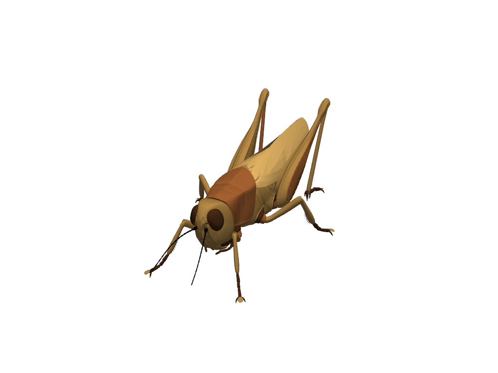../../../_images/pyvista-examples-downloads-download_grasshopper-27adc5e0e8d35207_00_00.png