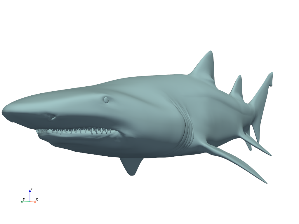 ../../../_images/pyvista-examples-downloads-download_grey_nurse_shark-67e6ce26295ea288_00_00.png