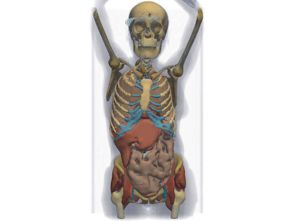 ../../../_images/pyvista-examples-downloads-download_whole_body_ct_female-51cf66df56b405fd_00_00.png