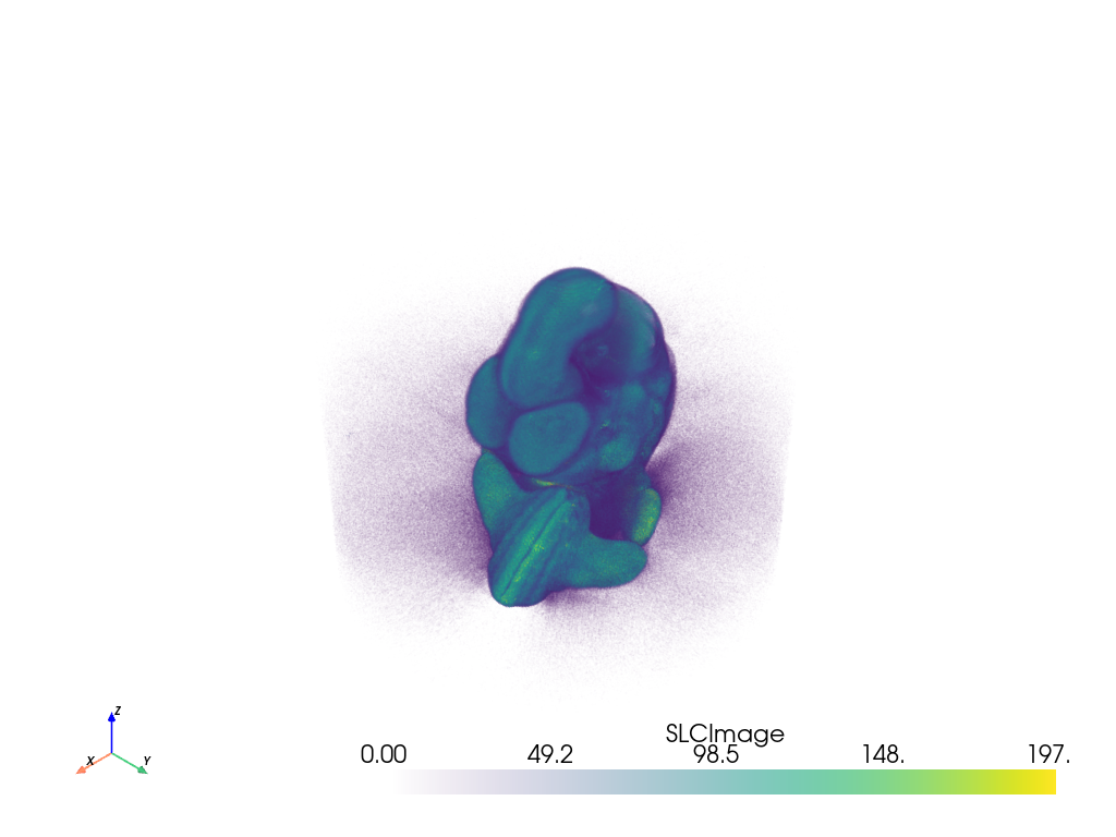 ../../_images/pyvista-examples-downloads-download_embryo-1_00_00.png