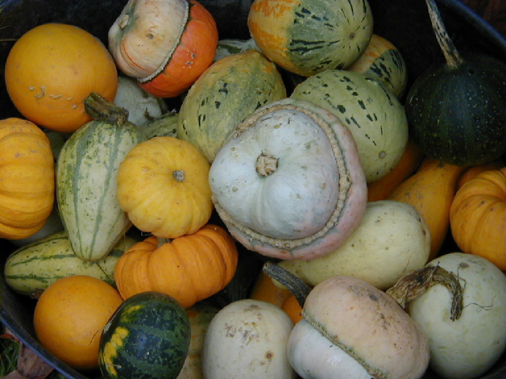 ../../_images/pyvista-examples-downloads-download_gourds_texture-1_00_00.png