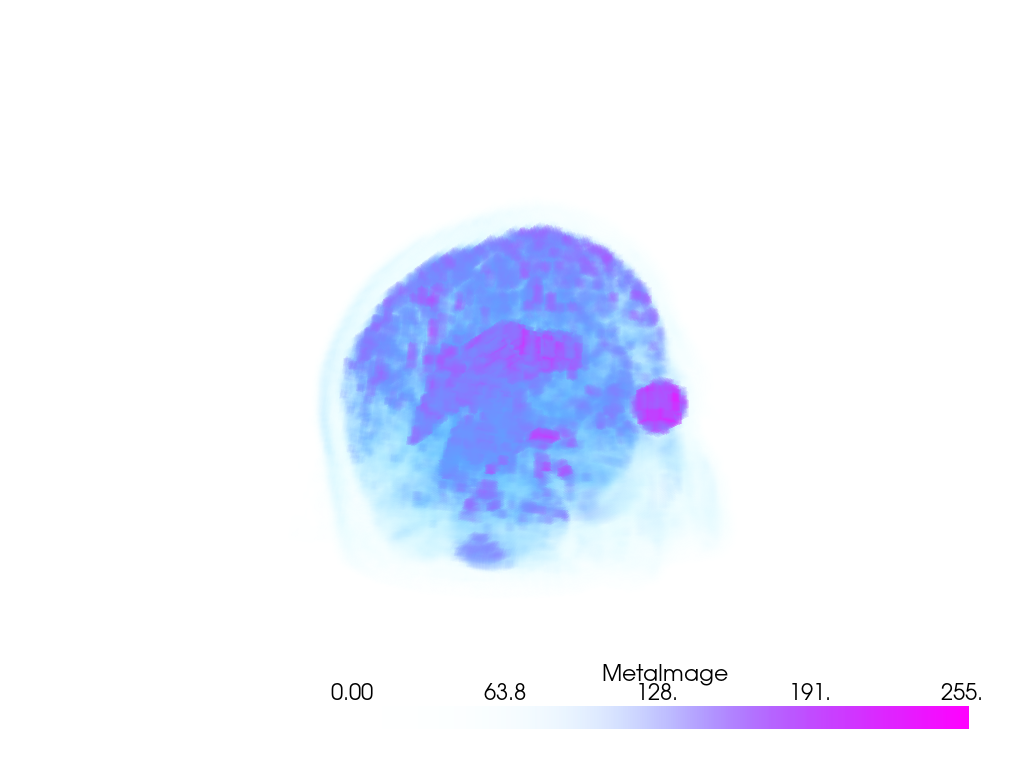 ../../../_images/pyvista-examples-downloads-download_head-1_00_00.png
