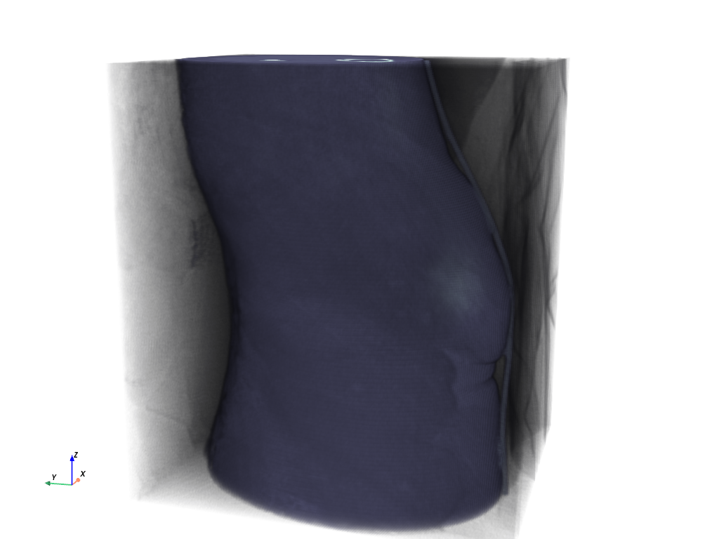 ../../../_images/pyvista-examples-downloads-download_knee_full-1_00_00.png