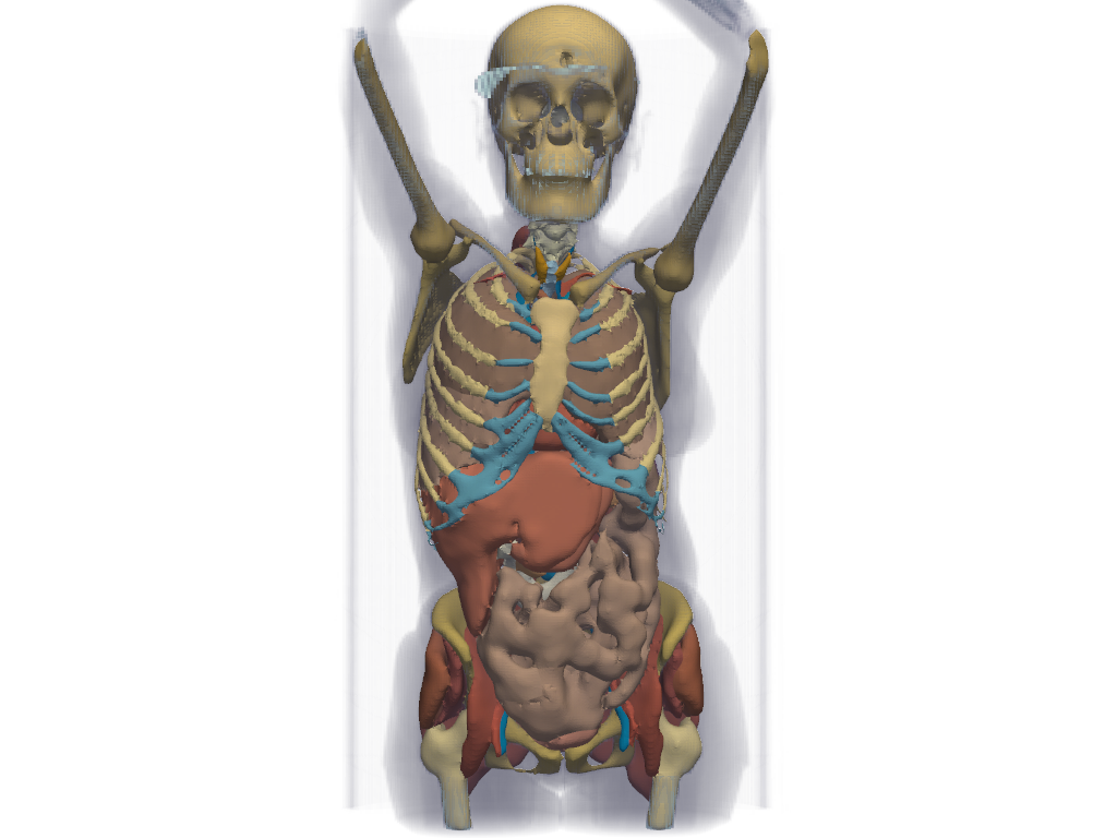 ../../../_images/pyvista-examples-downloads-download_whole_body_ct_female-1_00_00.png