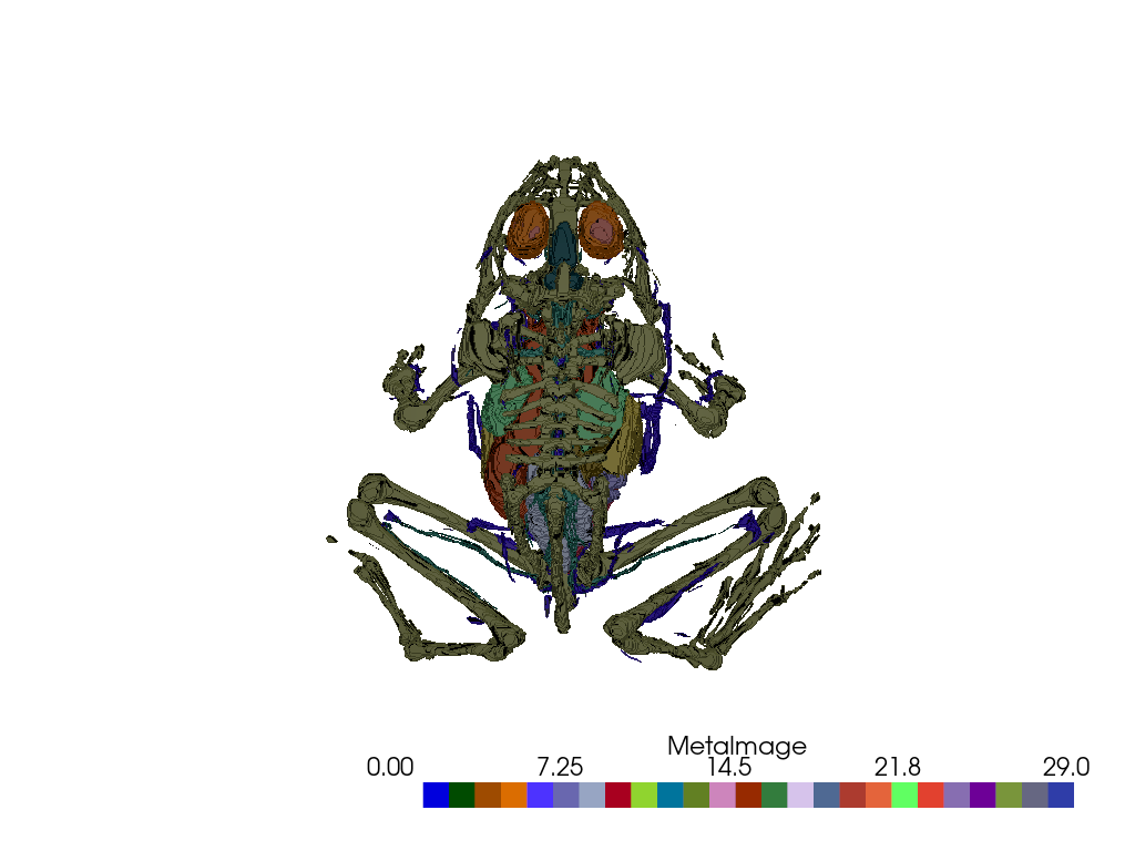 ../../../_images/pyvista-examples-examples-load_frog_tissues-1_00_00.png